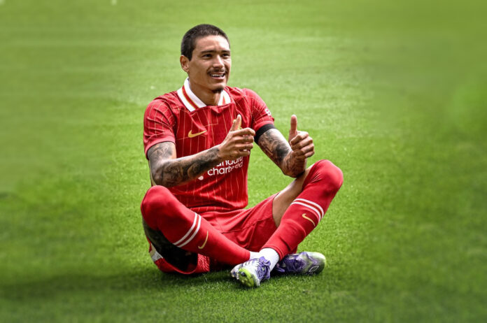 صورة لاعب نادي ليفربول داروين نونيز